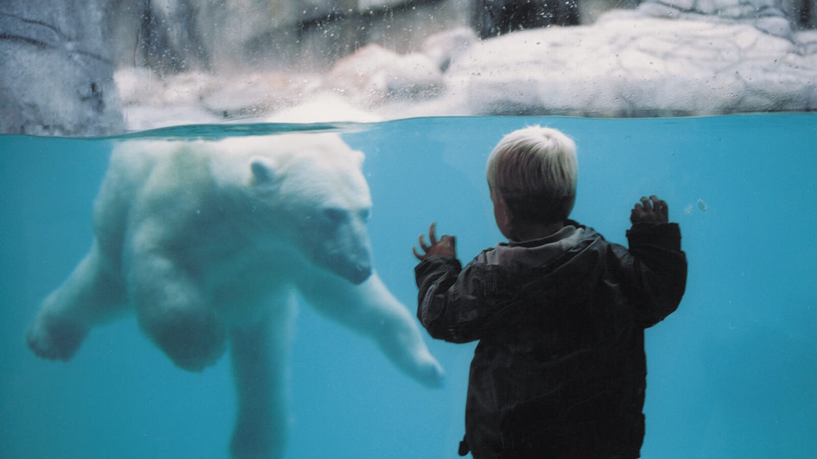 Efterårsoplevelser i Aalborg Zoo