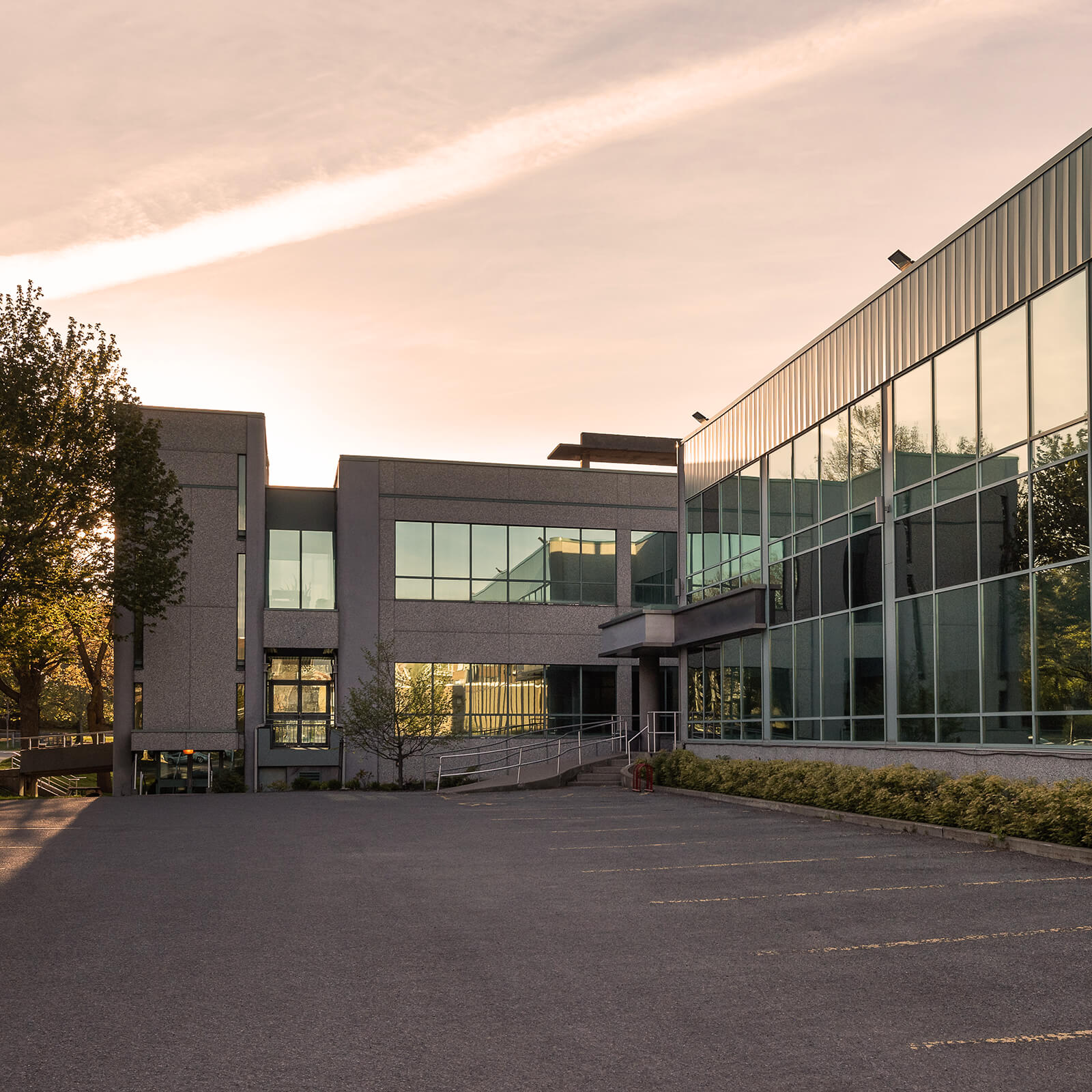 IT-kriminalitetsforsikring