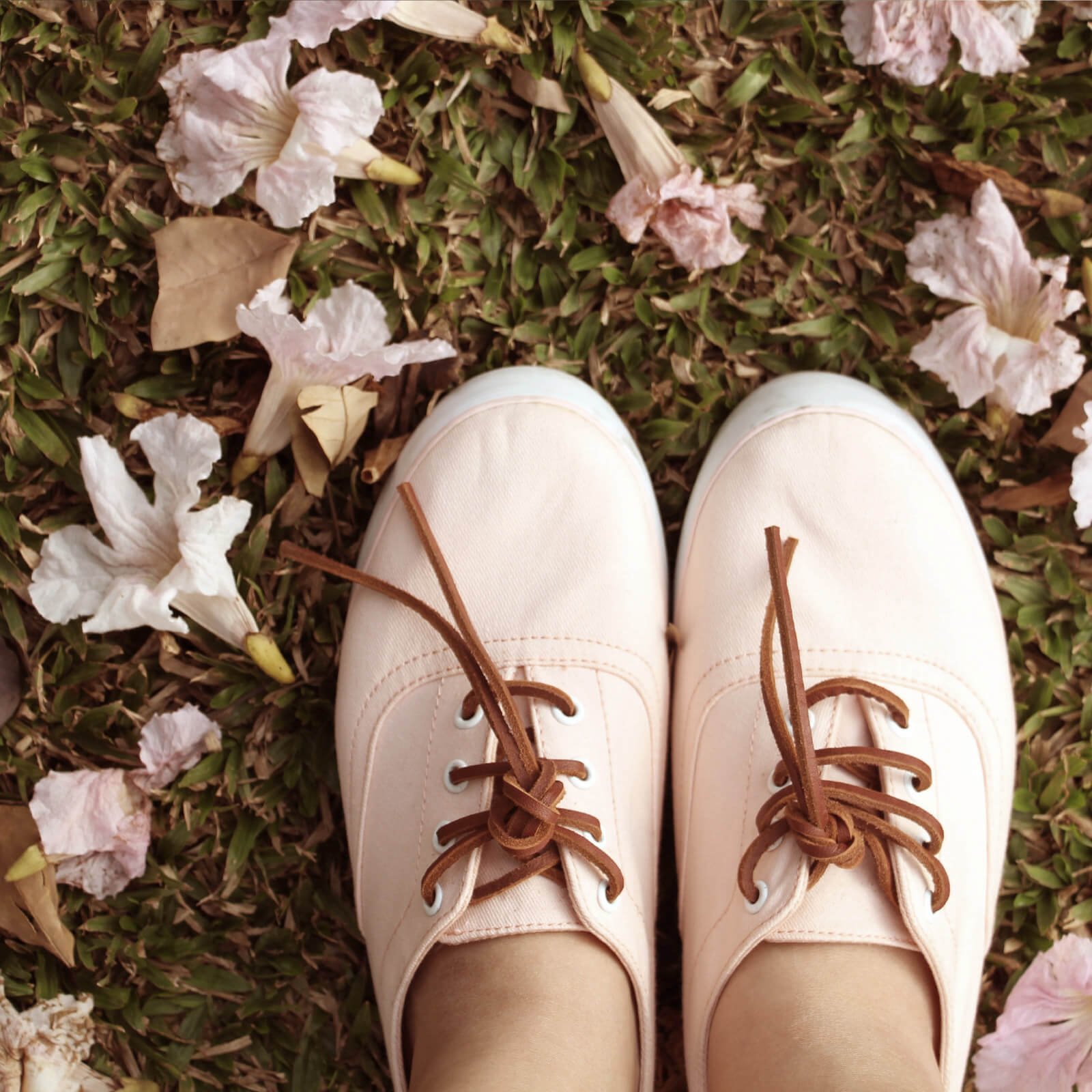 Nærpension Kundeforsikring - Lån og Kredit