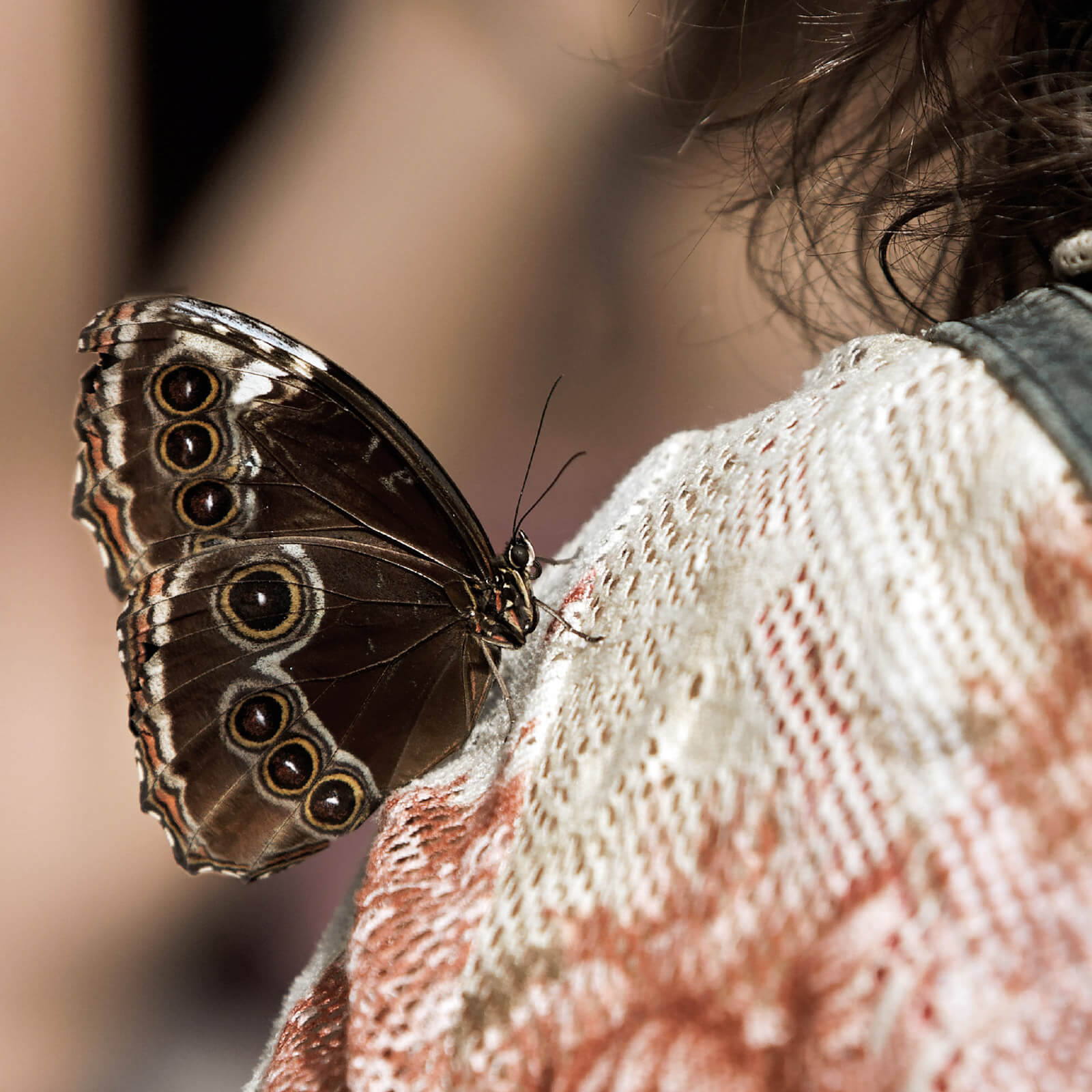 Nærpension - Visse Kritiske Sygdomme