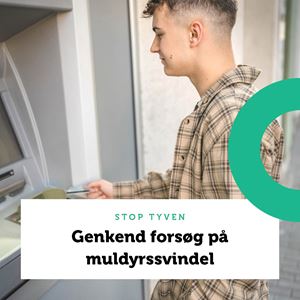 Genkend forsøg på muldyrssvindel