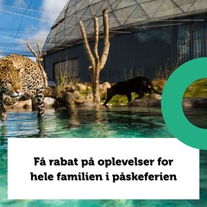 Få rabat på oplevelser for hele familien i påskeferien
