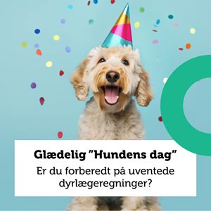 Glædelig "Hundens dag"